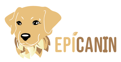 logo epicanin