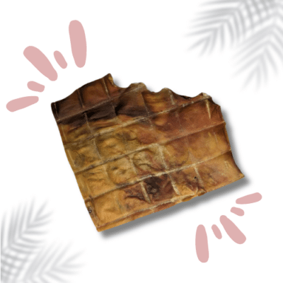 PLAQUE DE PEAU DE tête de BOEUF CHIEN