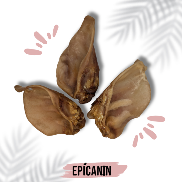 oreille de porc pour chien