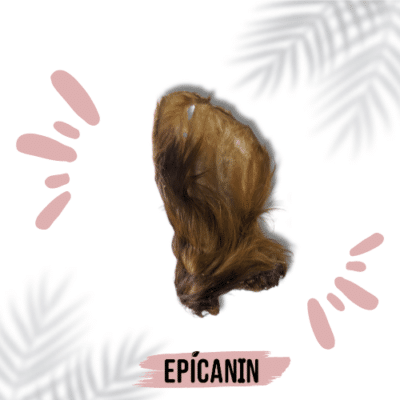 oreille de bœuf avec fourrure