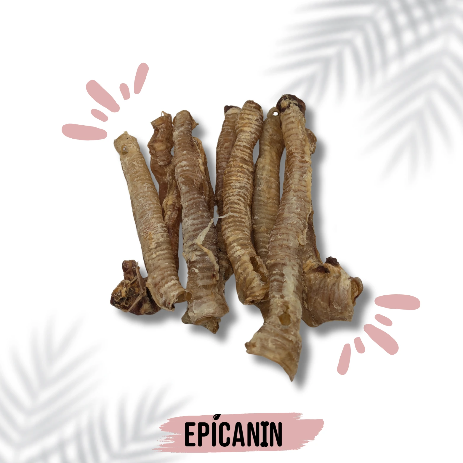 trachée d'agneau pour chien