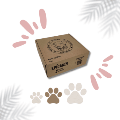 box découverte médium