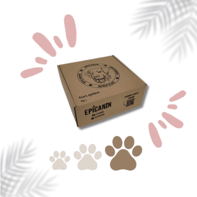 box grand chien