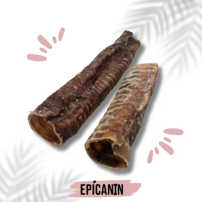 trachée de bœuf pour chien