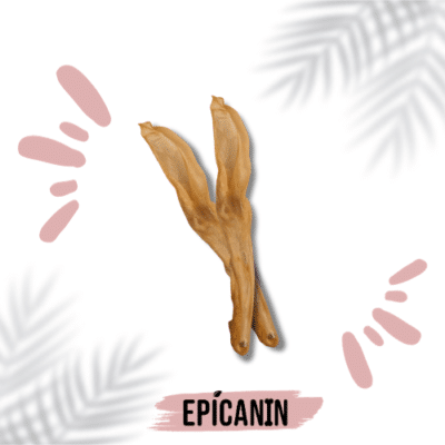 oreille de lapin sans fourrure