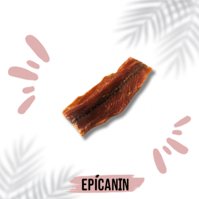 filet de saumon sauvage