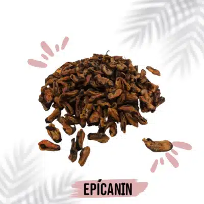 friandise moule pour chien