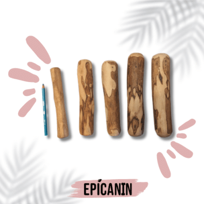 bois d'olivier pour chien, de différentes tailles. Comparaison avec un crayon