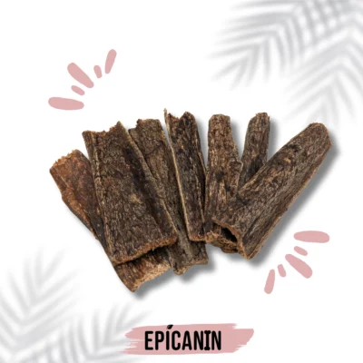 mastication gourmande pour chien