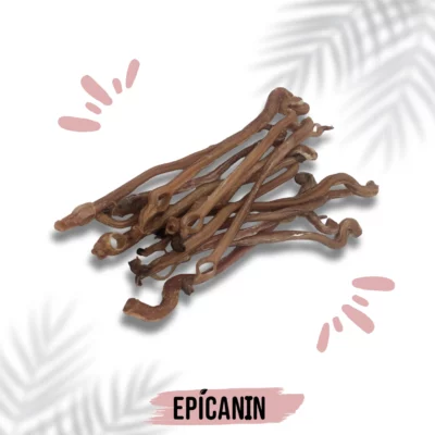 mastication chiot nerf agneau