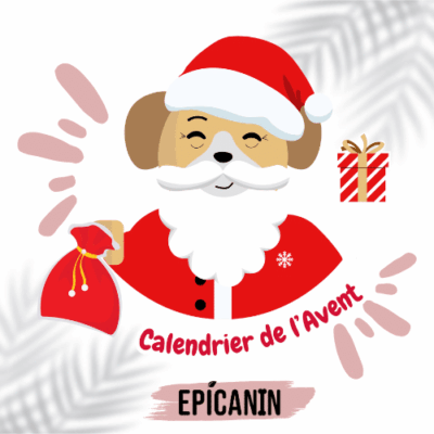 PRECOMMANDE - Calendrier de l'Avent EpiCanin✨