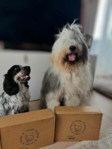 2 chiens avec leur commande EpiCanin