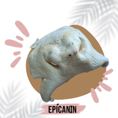 Museau de boeuf soufflé de marque EpiCanin