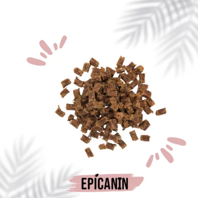 petite friandise pour chien sanglier