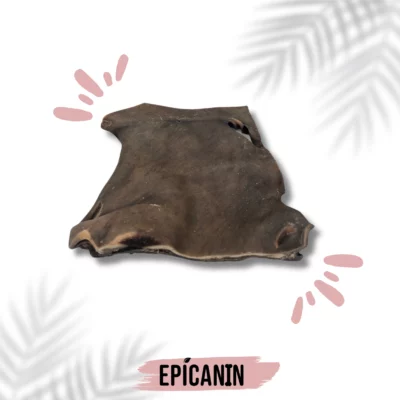 plaque de chameau pour chien