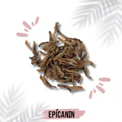 chair de couteau de mer