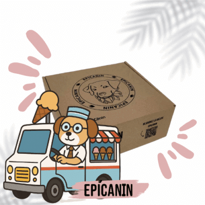 Box marchand de glace