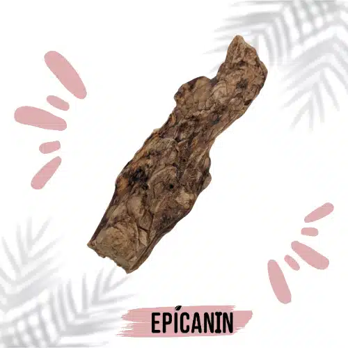 Stick de poumon de boeuf epicanin