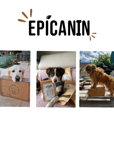 epicanin boutique friandises naturelles chien