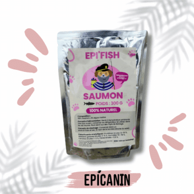 patee au saumon pour chien