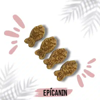 biscuit pour chien poisson