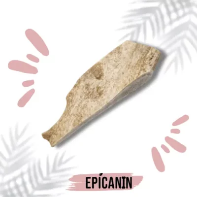 Bois de daim EpiCanin