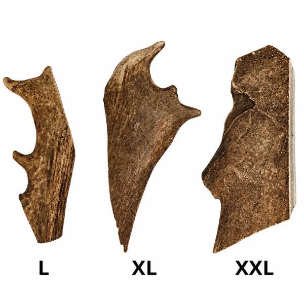 Bois de Daim đŠ â Image 4