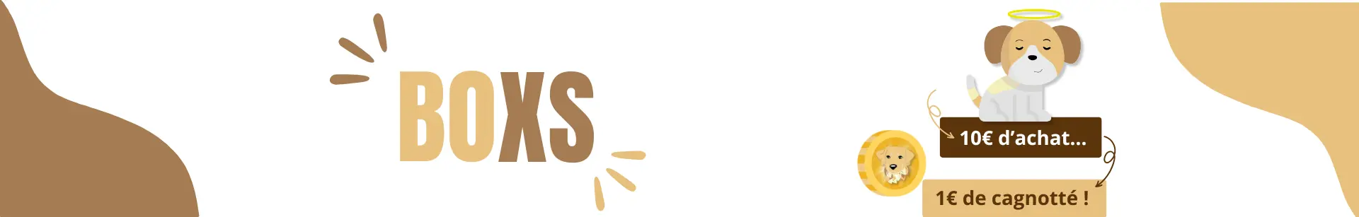 bannière epicanin boxs