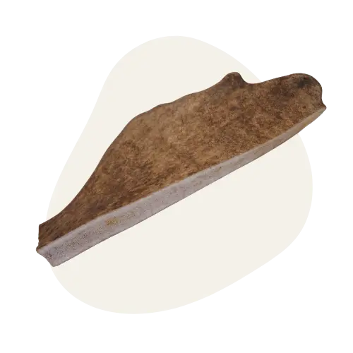 Bois de Daim đŠ