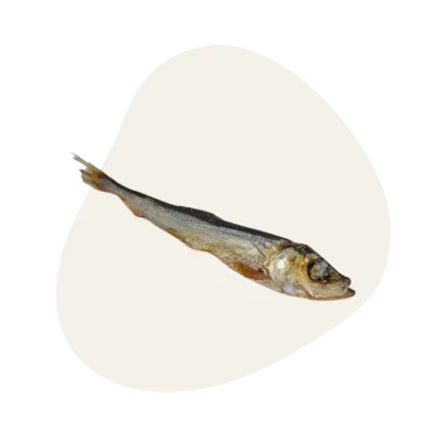 Harengs Sauvages (≈12cm) 🐟