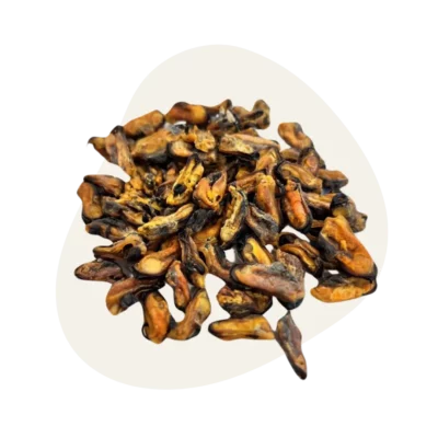 Moule sĂ©chĂ©e đŠȘ