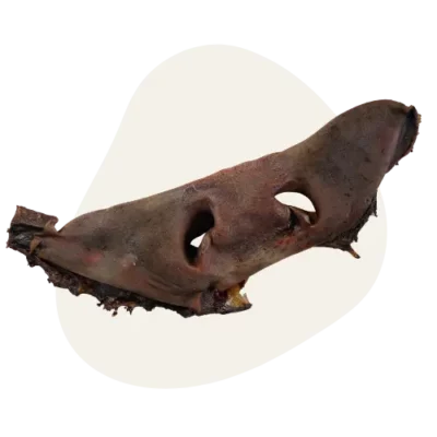 museau de boeuf chien mastication