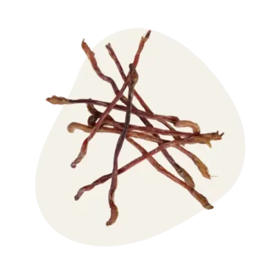 Nerf d'Agneau đ