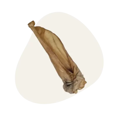 Oreille de Chèvre sans fourrure 🐐