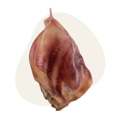 Oreille de Porc đ·
