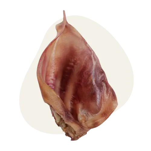 Oreille de Porc 🐷