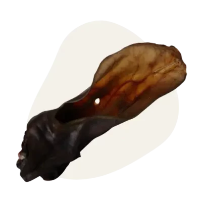 Oreilles de Bœuf Extra Coques 🐮
