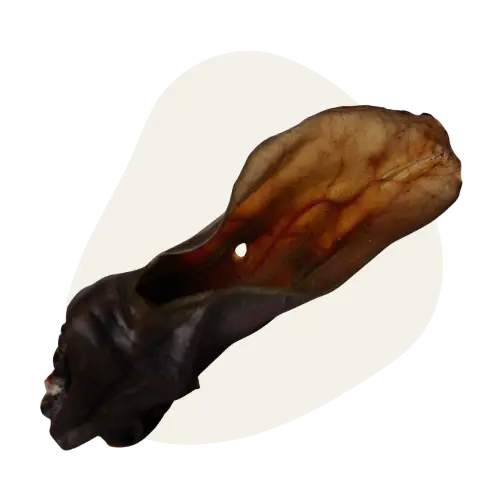 Oreilles de Bœuf Extra Coques 🐮
