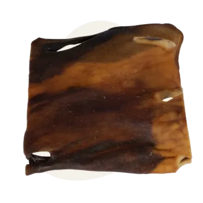 Plaque de peau de chameau (20*20cm) đ«