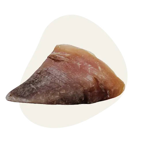 Sabot de Boeuf 🐮