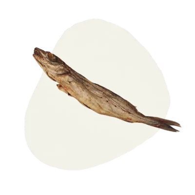 eglefin epicanin