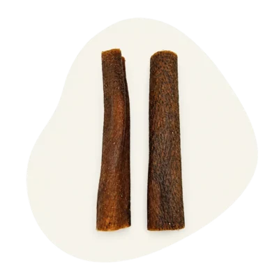 peau de sanglier pour chien