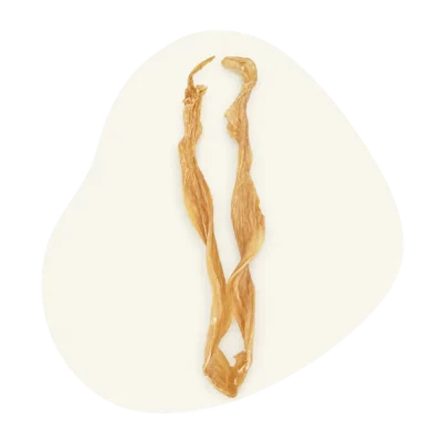 stick de calamar epicanin